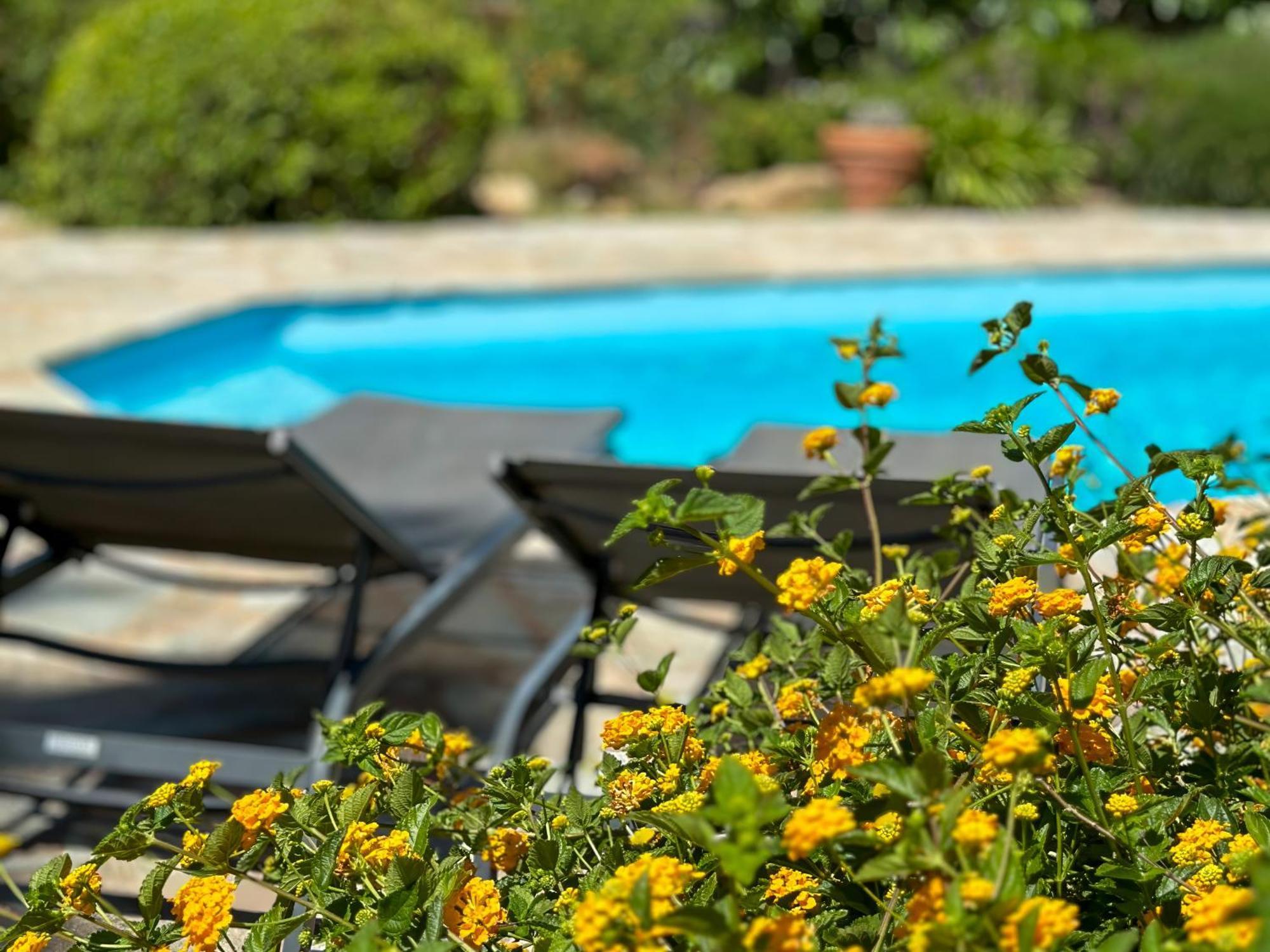 Domaine Villas Celia 몽티셀로 외부 사진