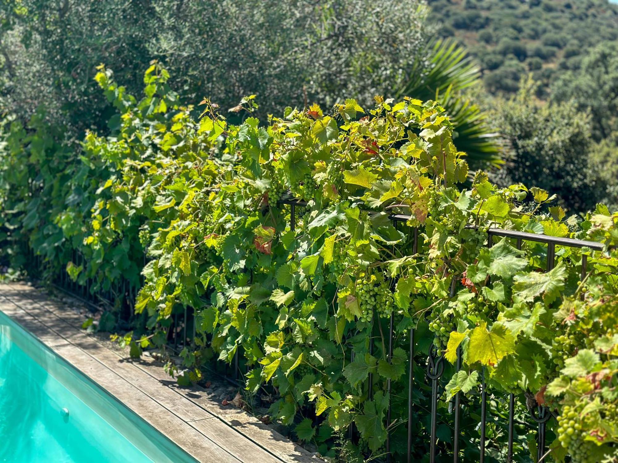 Domaine Villas Celia 몽티셀로 외부 사진