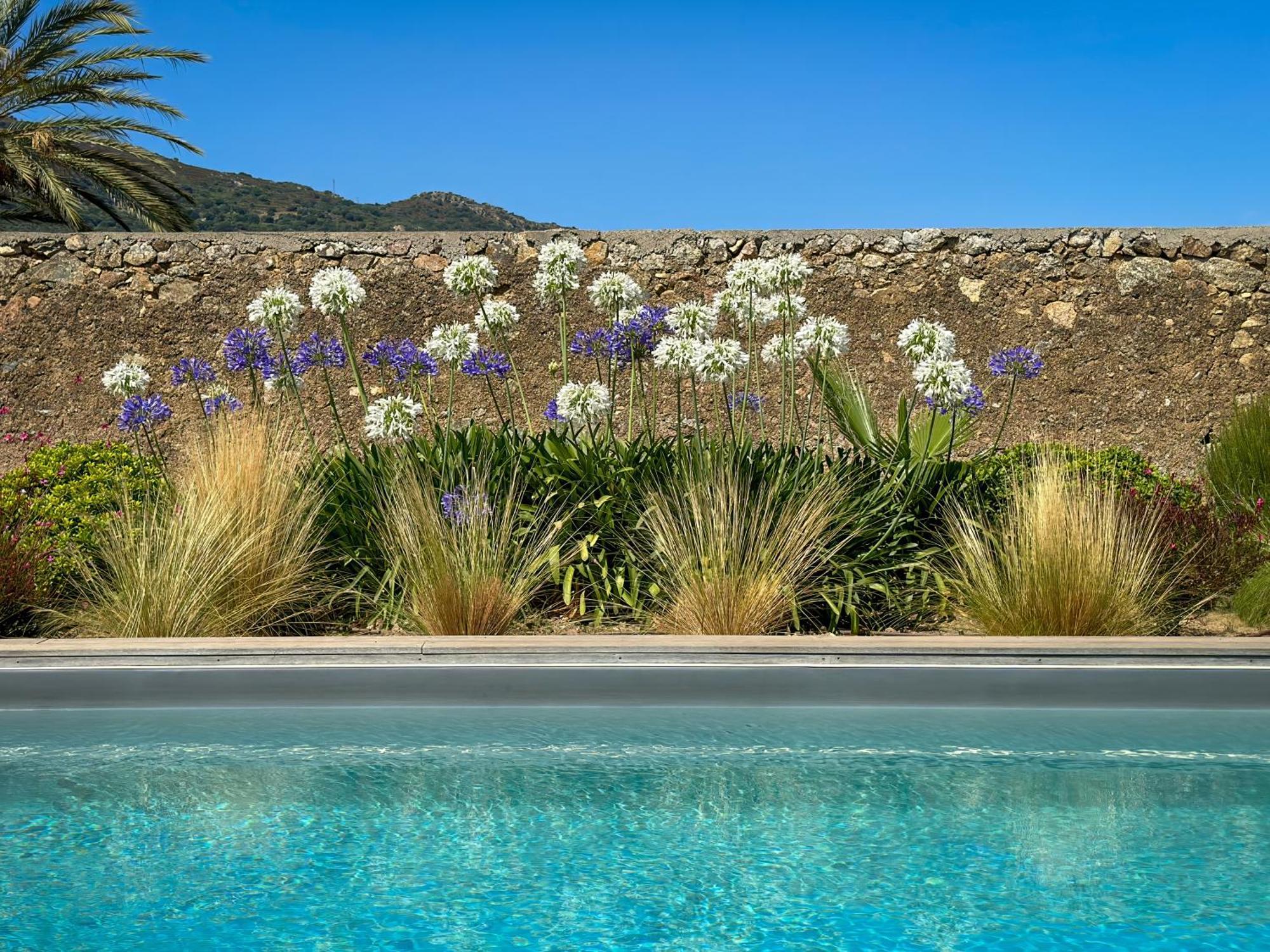 Domaine Villas Celia 몽티셀로 외부 사진