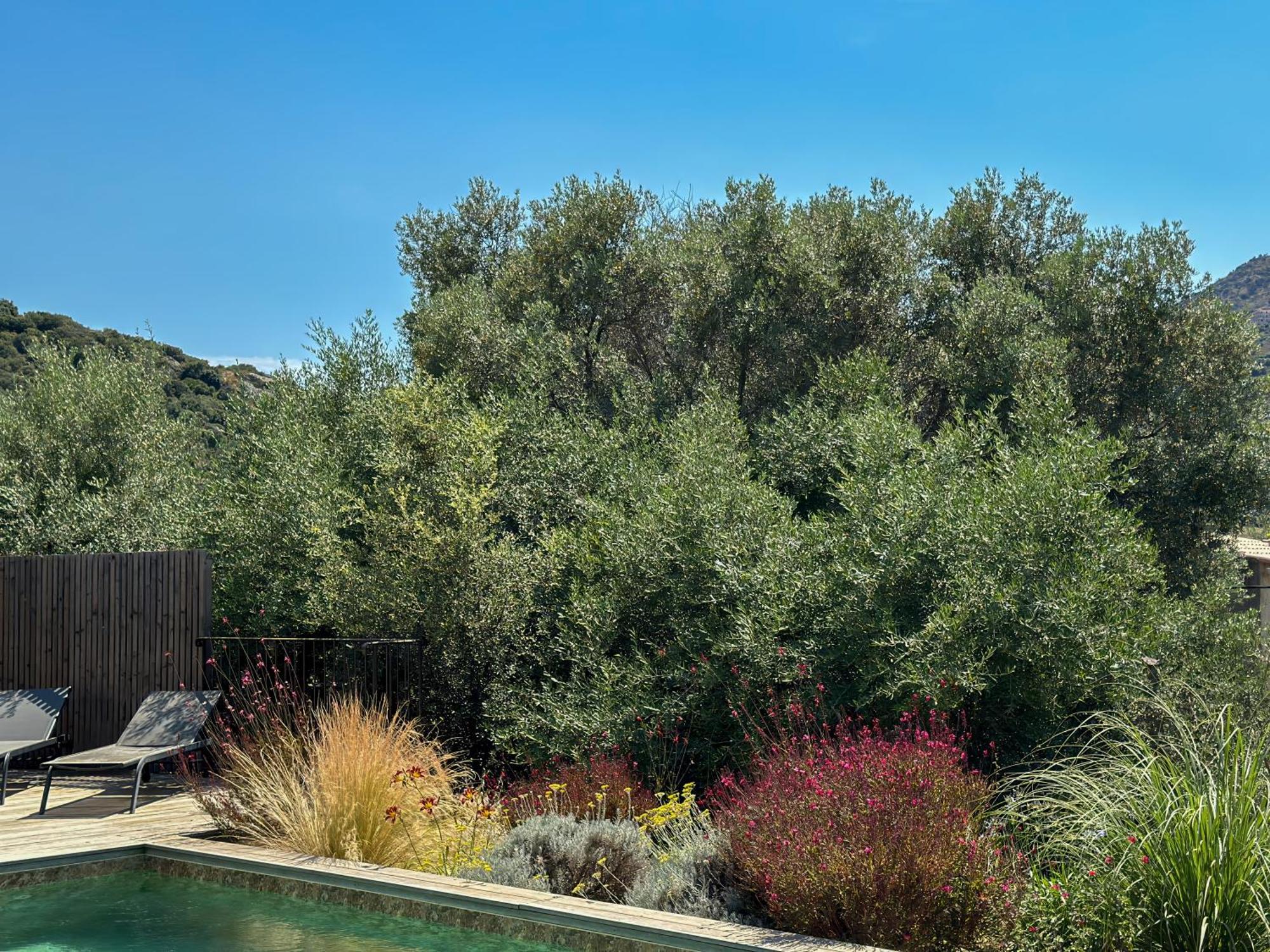 Domaine Villas Celia 몽티셀로 외부 사진