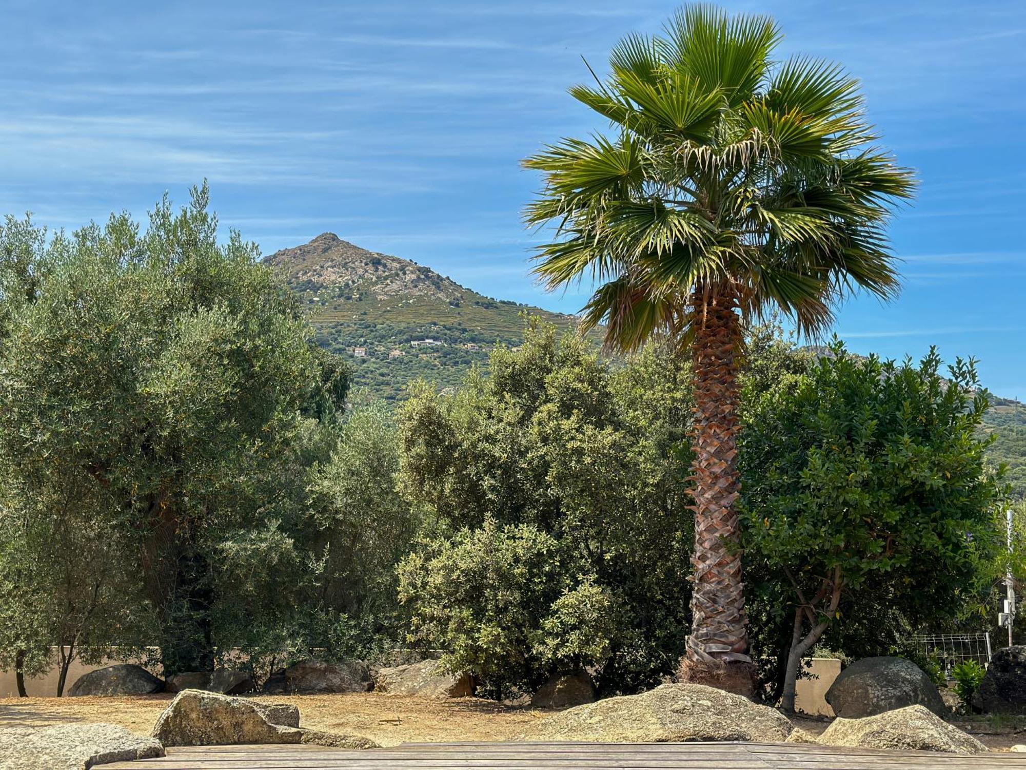 Domaine Villas Celia 몽티셀로 외부 사진
